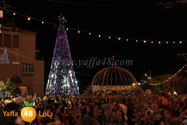 tree milad shajara (1).JPG